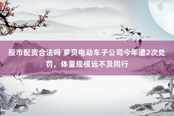 股市配资合法吗 萝贝电动车子公司今年遭2次处罚，体量规模远不及同行